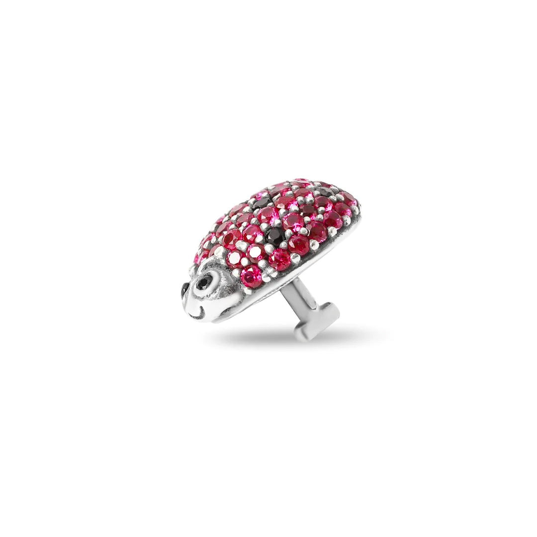 Red Ladybug